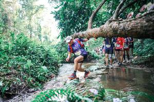 BIB: 
                            <button type="button" onclick="openModal(25460591)" class="btn btn-primary btn-sm float-right btn-popup" data-toggle="modal" data-target=".modal-high-quality">
                        <i class="fas fa-shopping-cart"></i> Add to Cart
                    </button>
                                            <button type="button" onclick="isThisMe(25460591, true)" class="btn btn-success btn-sm float-right btn-popup btn-isme hidden" data-toggle="tooltip" data-placement="bottom" title="นี่คือรูปของคุณใช่ไหม คลิกที่นี่เพื่อเอาเข้าอัลบั้ม">
                        <i class="fas fa-plus"></i> Add to album
                    </button>
                    <button type="button" onclick="isThisMe(25460591, false)" class="btn btn-warning btn-sm float-right btn-popup btn-isnotme hidden">
                        <i class="fas fa-ban"></i> Remove from album
                    </button>